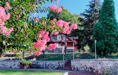 YALOVA MERKEZ BURSA YOLUNA CEPHE SATILIK TİCARİ İMARLI ARSA!