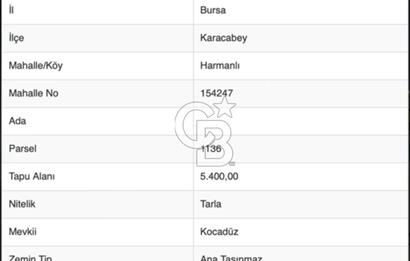 CB BLACK'TAN KARACABEY HARMANLI'DA 5.400 m2 SATILIK TARLA*