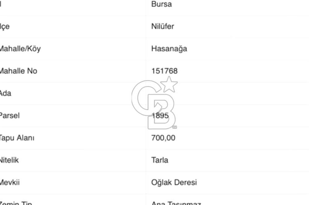 CB BLACK'TAN HASANAĞA' DA 700 m2 SATILIK TARLA*