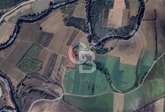 CB BLACK'TAN KARACABEY CANBAZ'DA 6.790 m2 SATILIK TARLA* - 5 - 330616