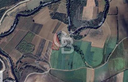 CB BLACK'TAN KARACABEY CANBAZ'DA 6.790 m2 SATILIK TARLA*