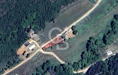 CB BLACK'TAN HASANAĞA' DA 700 m2 SATILIK TARLA*