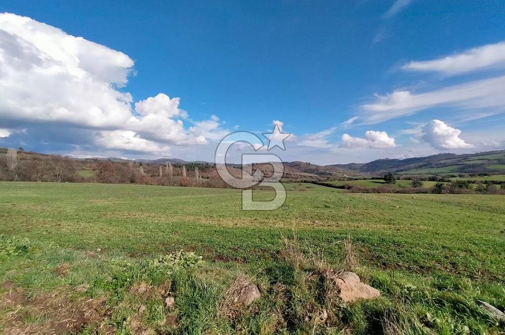 Yatırımlık 47.804 m² | Lapseki Eçialanda Kadastro Yola Cepheli