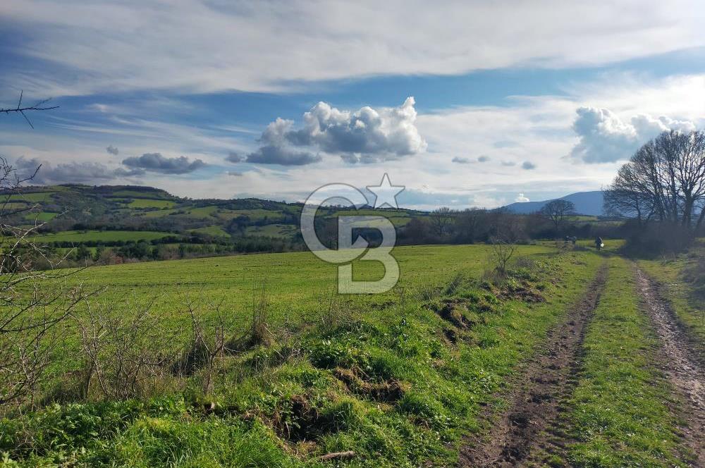 Yatırımlık 47.804 m² | Lapseki Eçialanda Kadastro Yola Cepheli