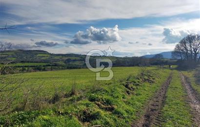 Yatırımlık 47.804 m² | Lapseki Eçialanda Kadastro Yola Cepheli