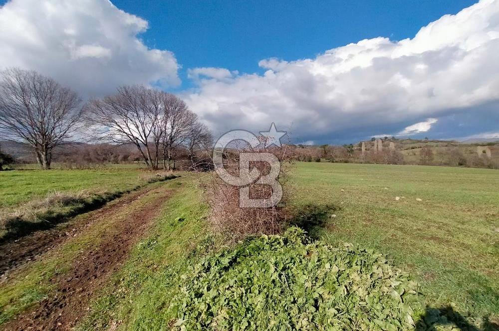 Yatırımlık 47.804 m² | Lapseki Eçialanda Kadastro Yola Cepheli