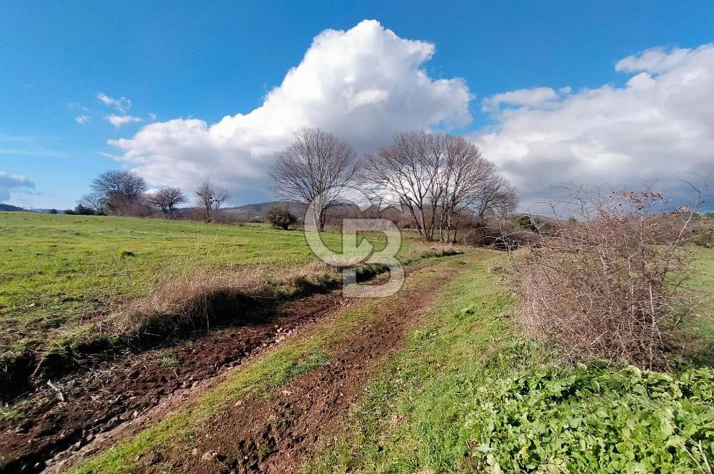 Yatırımlık 47.804 m² | Lapseki Eçialanda Kadastro Yola Cepheli