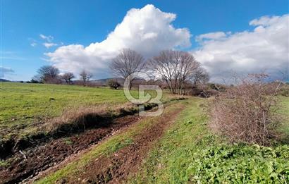 Yatırımlık 47.804 m² | Lapseki Eçialanda Kadastro Yola Cepheli