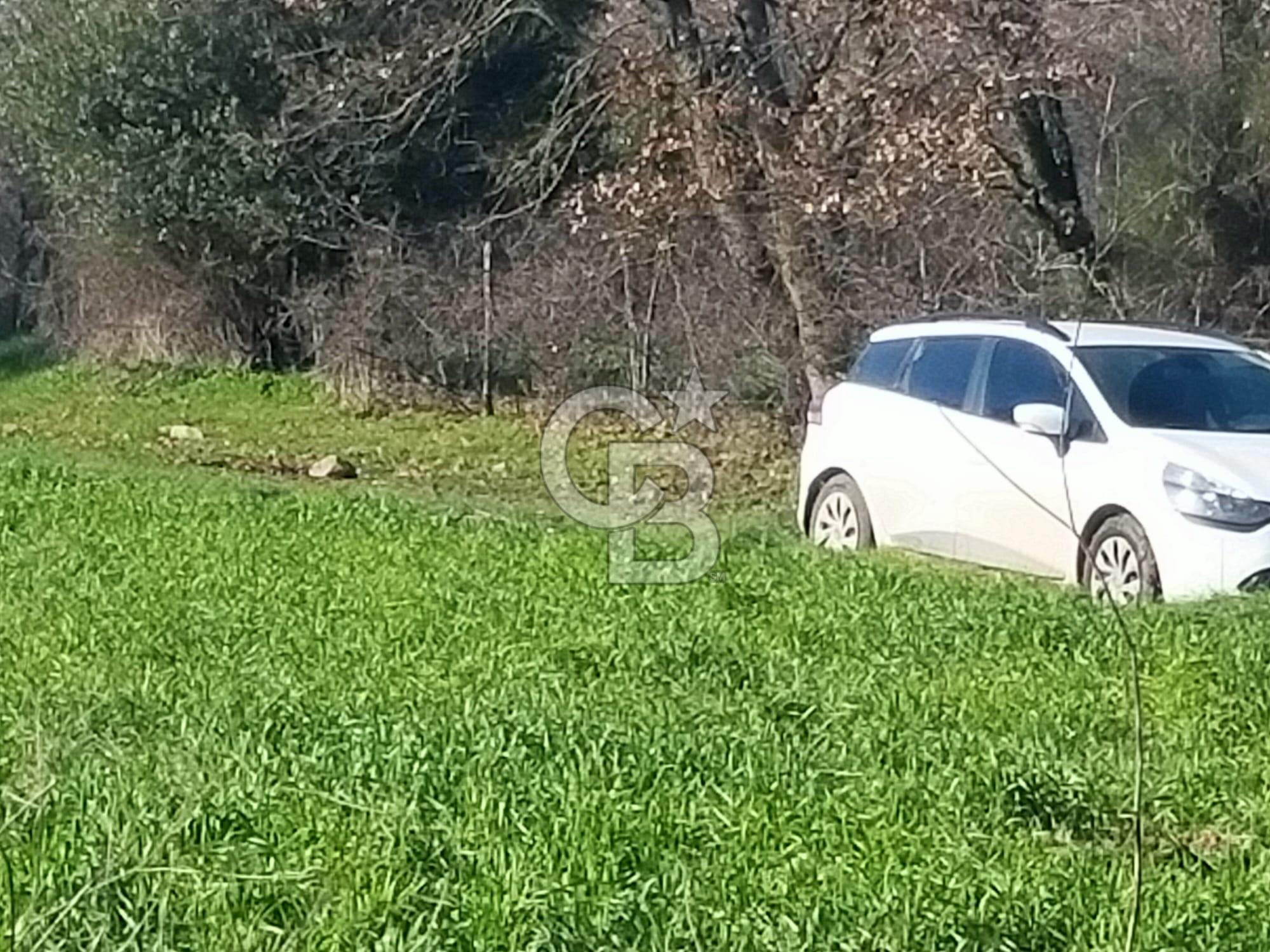 Yatırımlık 47.804 m² | Lapseki Eçialanda Kadastro Yola Cepheli