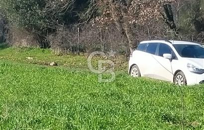 Yatırımlık 47.804 m² | Lapseki Eçialanda Kadastro Yola Cepheli