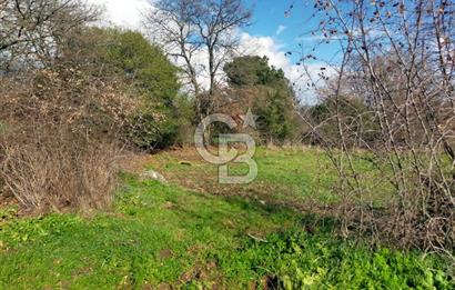 Yatırımlık 47.804 m² | Lapseki Eçialanda Kadastro Yola Cepheli