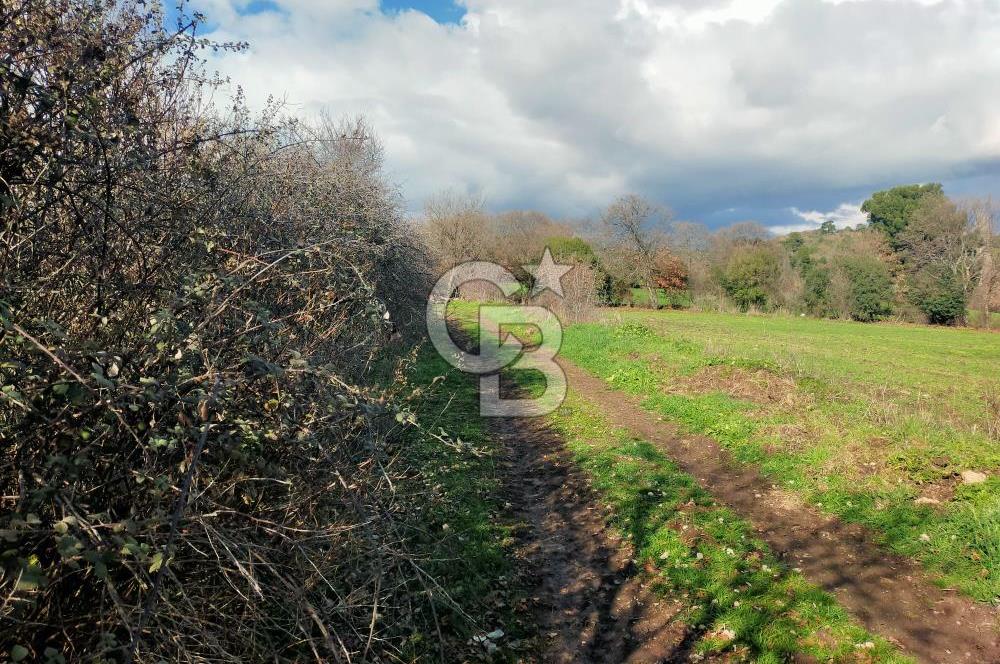 Yatırımlık 47.804 m² | Lapseki Eçialanda Kadastro Yola Cepheli