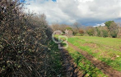 Yatırımlık 47.804 m² | Lapseki Eçialanda Kadastro Yola Cepheli