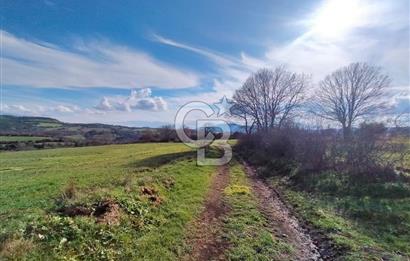 Yatırımlık 47.804 m² | Lapseki Eçialanda Kadastro Yola Cepheli