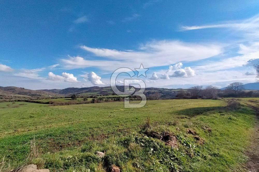 Yatırımlık 47.804 m² | Lapseki Eçialanda Kadastro Yola Cepheli