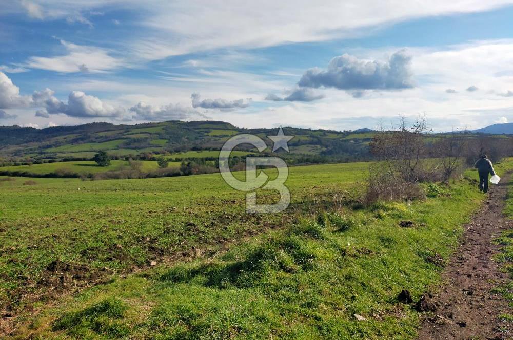 Yatırımlık 47.804 m² | Lapseki Eçialanda Kadastro Yola Cepheli