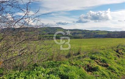 Yatırımlık 47.804 m² | Lapseki Eçialanda Kadastro Yola Cepheli