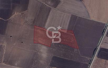 CB BLACK'TAN KARACABEY HARMANLI OTOYOLA YAKIN KONUMDA TARLA