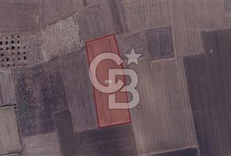 CB BLACK'TAN KARACABEY HARMANLI'DA 8.700 m2 SATILIK TARLA - 2 - 330677