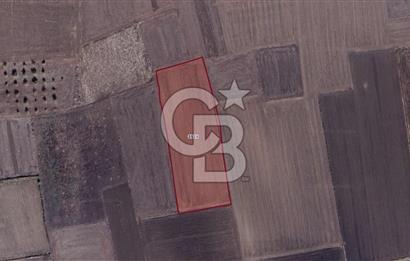 CB BLACK'TAN KARACABEY HARMANLI'DA 8.700 m2 SATILIK TARLA