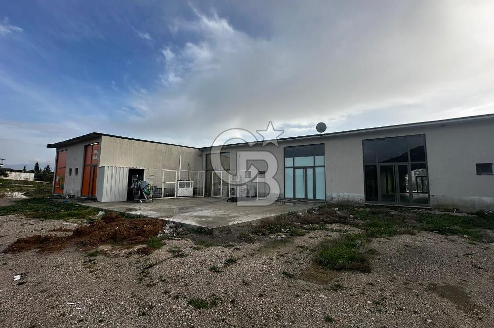 İZMİR FOÇA ILIPINAR KİRALIK DÜKKAN MAĞAZA ANAYOL ÜZERİ VİTRİNLİ