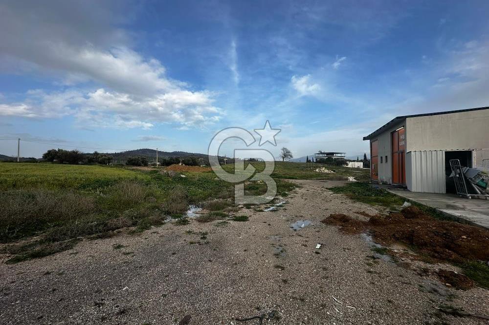 İZMİR FOÇA ILIPINAR KİRALIK DÜKKAN MAĞAZA ANAYOL ÜZERİ VİTRİNLİ