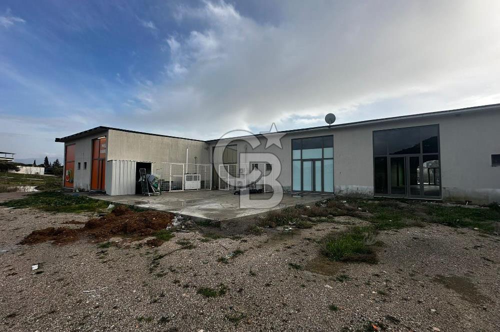 İZMİR FOÇA ILIPINAR KİRALIK DÜKKAN MAĞAZA ANAYOL ÜZERİ VİTRİNLİ