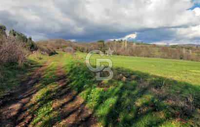 Yatırımlık 47.804 m² | Lapseki Eçialanda Kadastro Yola Cepheli