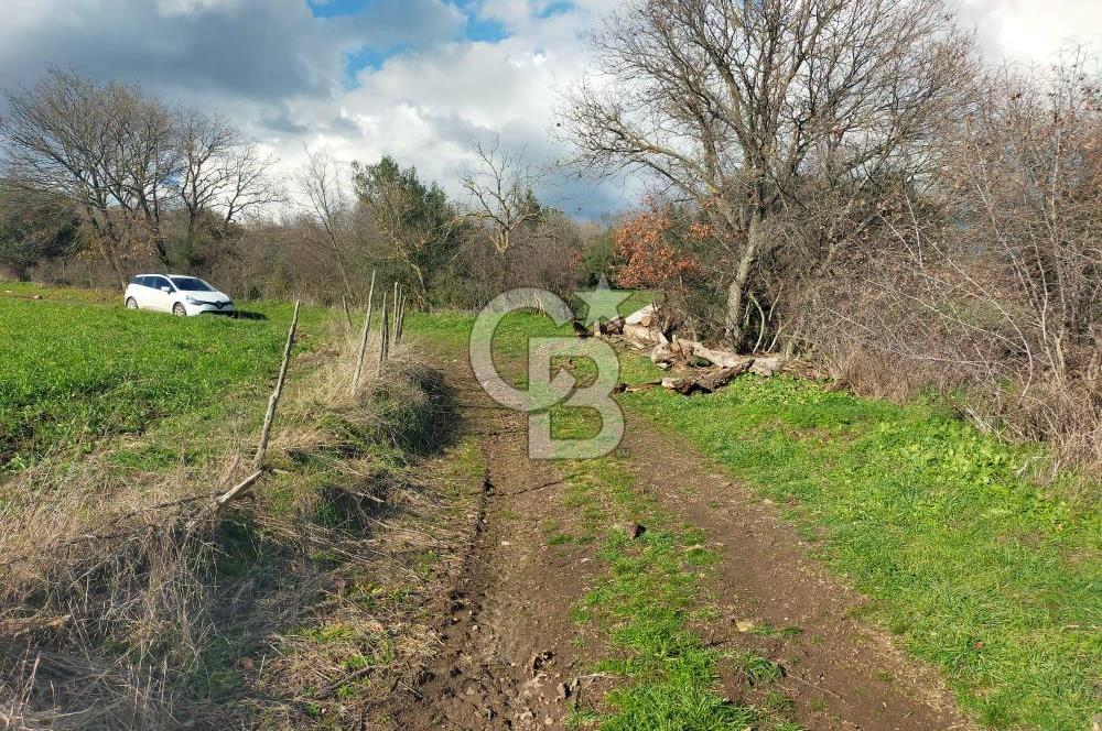 Yatırımlık 47.804 m² | Lapseki Eçialanda Kadastro Yola Cepheli