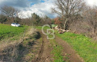 Yatırımlık 47.804 m² | Lapseki Eçialanda Kadastro Yola Cepheli