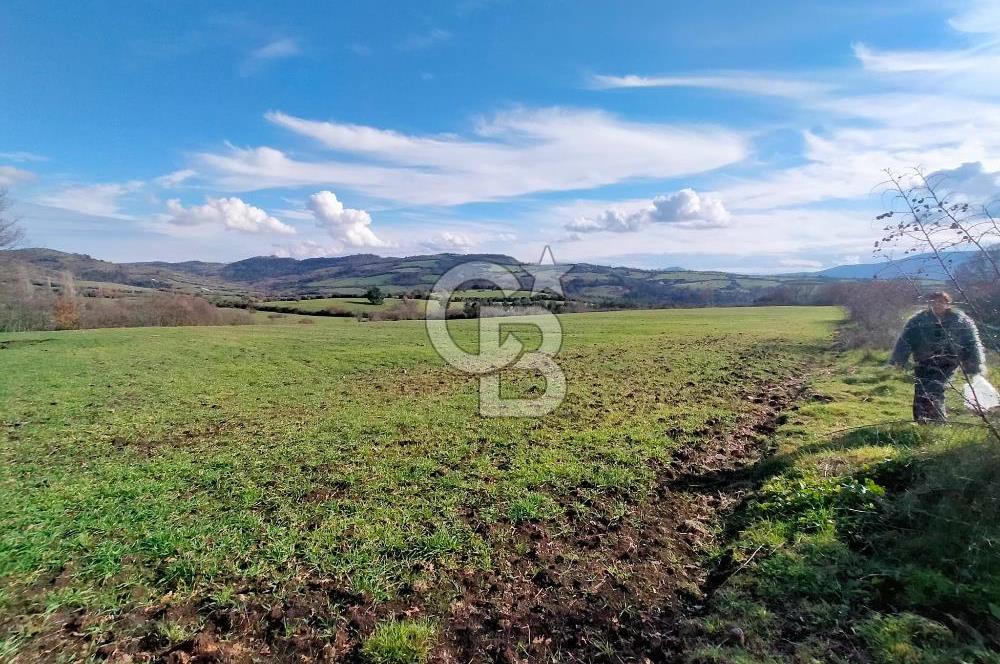 Yatırımlık 47.804 m² | Lapseki Eçialanda Kadastro Yola Cepheli