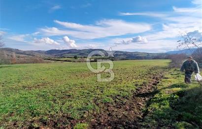 Yatırımlık 47.804 m² | Lapseki Eçialanda Kadastro Yola Cepheli