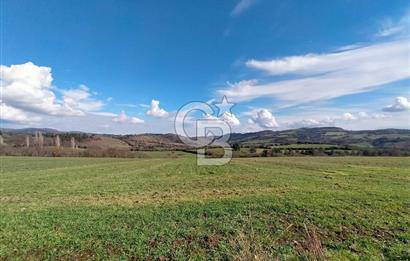 Yatırımlık 47.804 m² | Lapseki Eçialanda Kadastro Yola Cepheli