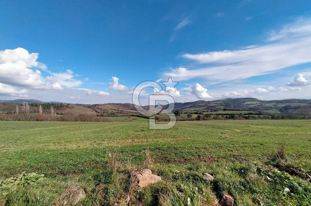 Yatırımlık 47.804 m² | Lapseki Eçialanda Kadastro Yola Cepheli