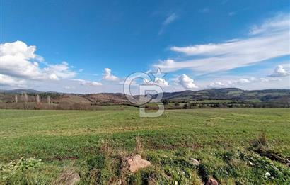 Yatırımlık 47.804 m² | Lapseki Eçialanda Kadastro Yola Cepheli