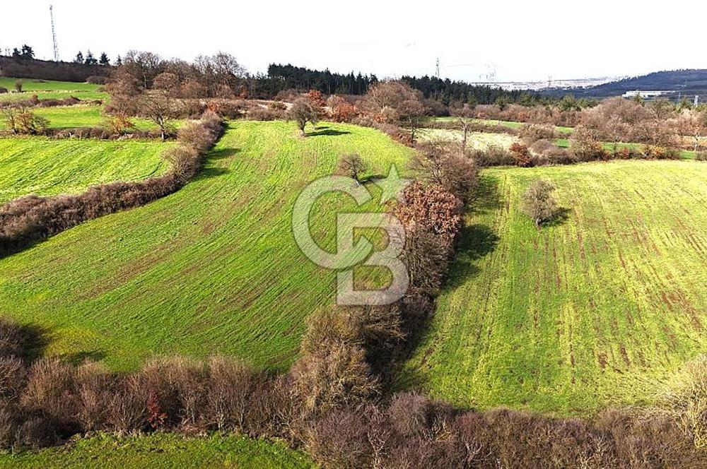 Çanakkale Çan Çakılköyde Satılık 10.500 m2 tarla