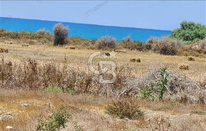 KIBRIS LEFKE DENİZE SIFIR %220 İMARLI TEK PARSEL ARSA