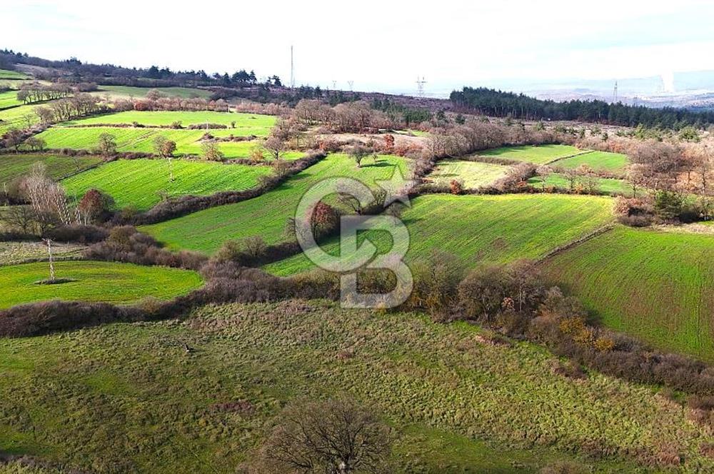 Çanakkale Çan Çakılköyde 2798 m2 Satılık Arsa