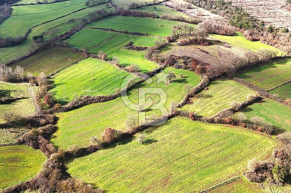 Çanakkale Çan Çakılköyde Satılık 10.500 m2 tarla