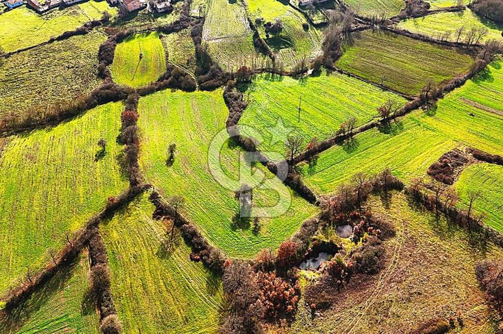 Çanakkale Çan Çakılköyde Satılık 10.500 m2 tarla
