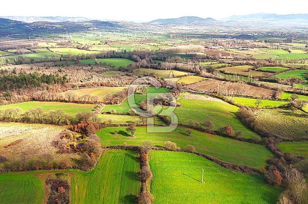 Çanakkale Çan Çakılköyde Satılık 10.500 m2 tarla