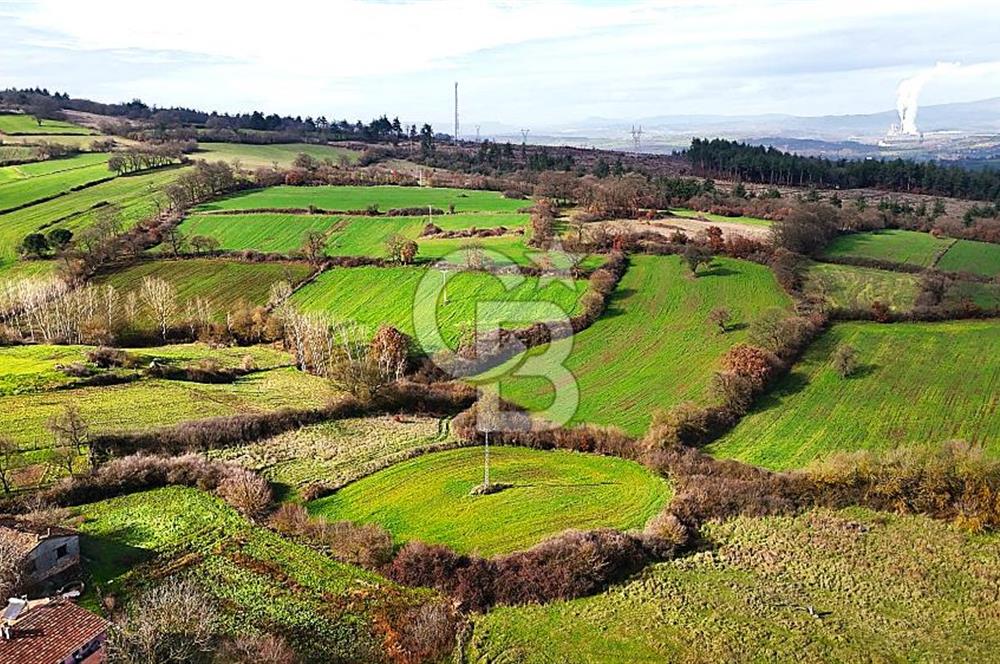 Çanakkale Çan Çakılköyde Satılık 10.500 m2 tarla