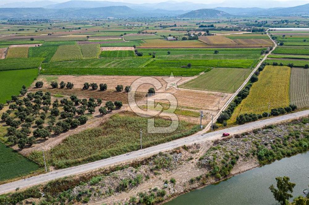 Milas Yaka Köyü Satılık Tarla