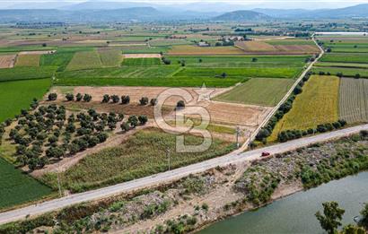 Milas Yaka Köyü Satılık Tarla