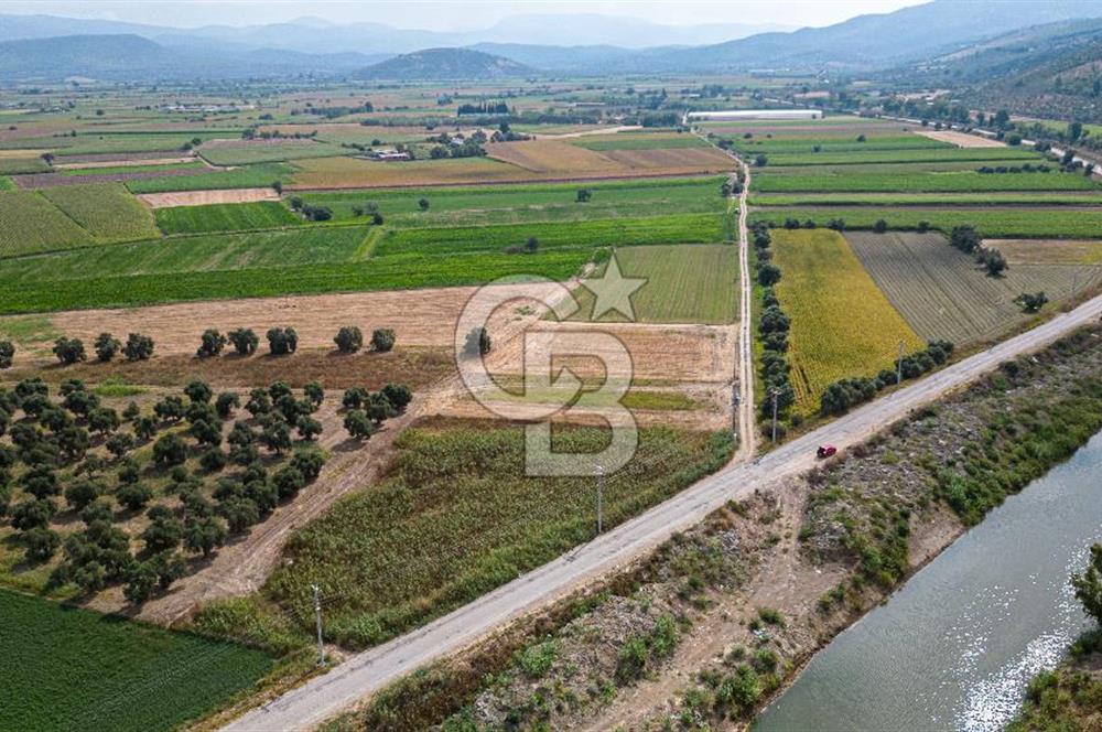 Milas Yaka Köyü Satılık Tarla