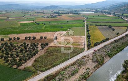 Milas Yaka Köyü Satılık Tarla