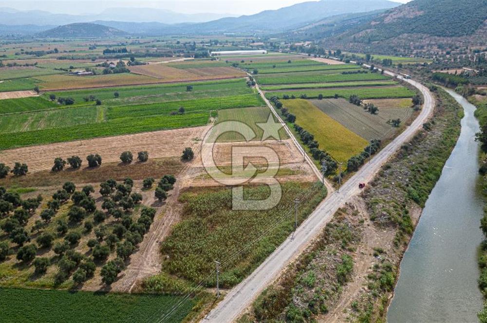 Milas Yaka Köyü Satılık Tarla