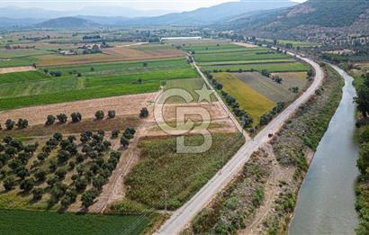 Milas Yaka Köyü Satılık Tarla