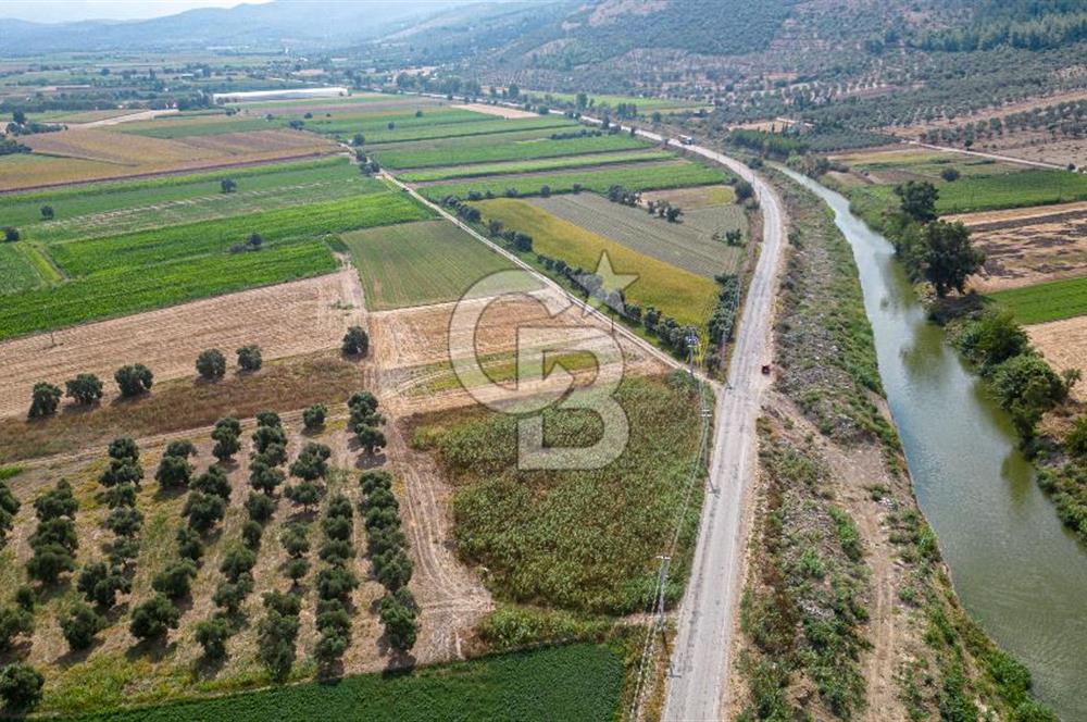 Milas Yaka Köyü Satılık Tarla