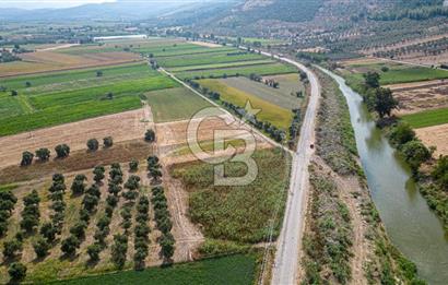 Milas Yaka Köyü Satılık Tarla